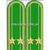 Погони прикордонників вишиті підполковник