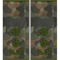 Погоны Подполковник Полиции муфта (бундес)