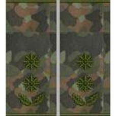 Погони Підполковник Поліції муфта (бундес)