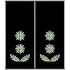 Погони Підполковник Поліції муфта (чорні)