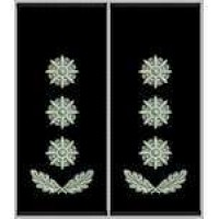 Погоны Полковник Полиции муфта черные