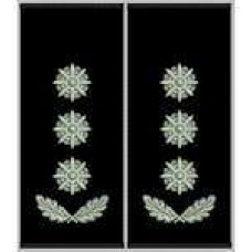 Погони Полковник Поліції муфта чорні