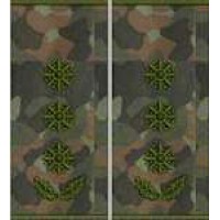 Погоны Полковник Полиции муфта (бундес)