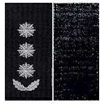 Погоны Полковник Полиции на липучке (черные)