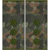 Погоны Старший лейтенант Полиции муфта (бундес)