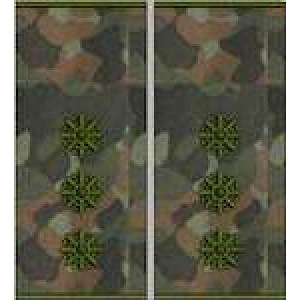 Погоны Старший лейтенант Полиции муфта (бундес) - 3443620