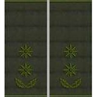 Погоны Подполковник Полиции муфта (олива)