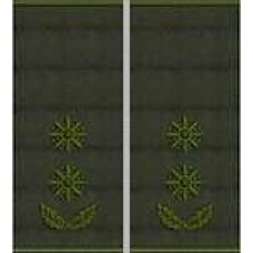 Погони Підполковник Поліції муфта (олива)