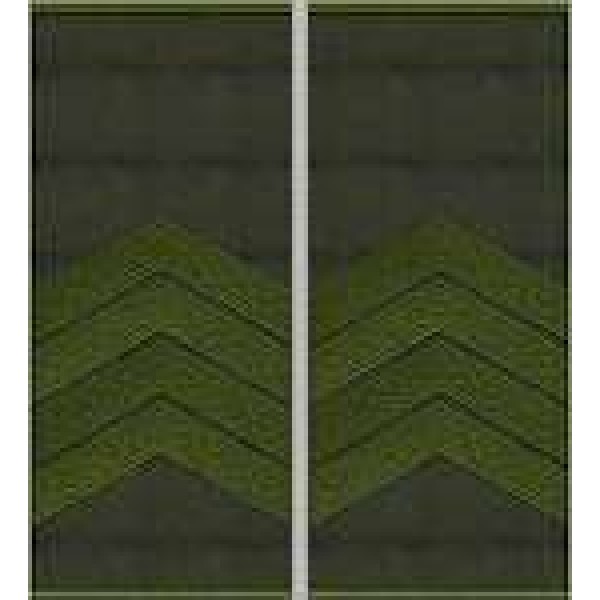 Погоны Старший сержант Полиции муфта (олива) - 3443626