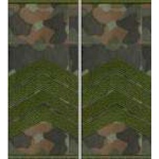 Погони Старший сержант Поліції муфта (бундес)