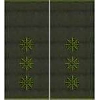 Погони Старший лейтенант Поліції муфта (олива)