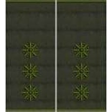 Погони Старший лейтенант Поліції муфта (олива)