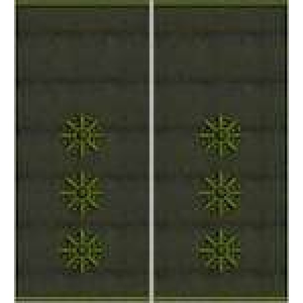 Погони Старший лейтенант Поліції муфта (олива) - 3443630