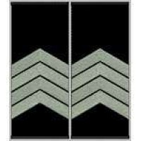 Погоны Старший сержант Полиции муфта (черные)