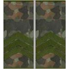 Погони Сержант Полициимуфта (бундес)