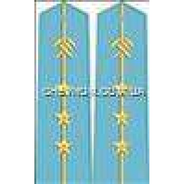 Погоны ж/д на рубашку младшие 3 звезды - 3443653