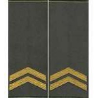 Погони МО муфта вишиті капрал основа олива нові (парадні)