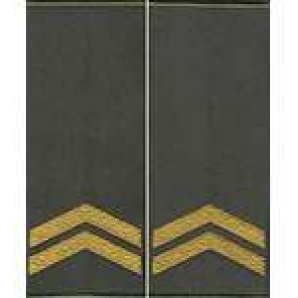 Погоны МО муфта вышитые капрал основа олива новые (парадные) - 3443662