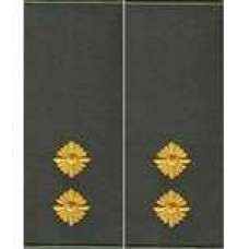 Погоны МО муфта вышитые лейтенант основа олива новые (парадные)