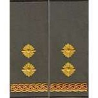 Погони МО муфта вишиті підполковник основа олива нові (парадні)