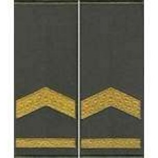 Погоны МО муфта вышитые прапорщик основа олива новые (парадные)