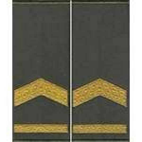 Погоны МО муфта вышитые прапорщик основа олива новые (парадные) - 3443668