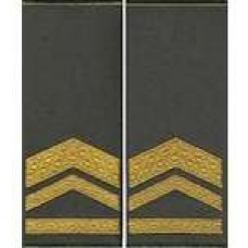 Погоны МО муфта вышитые старший прапорщик основа олива новые (парадные)