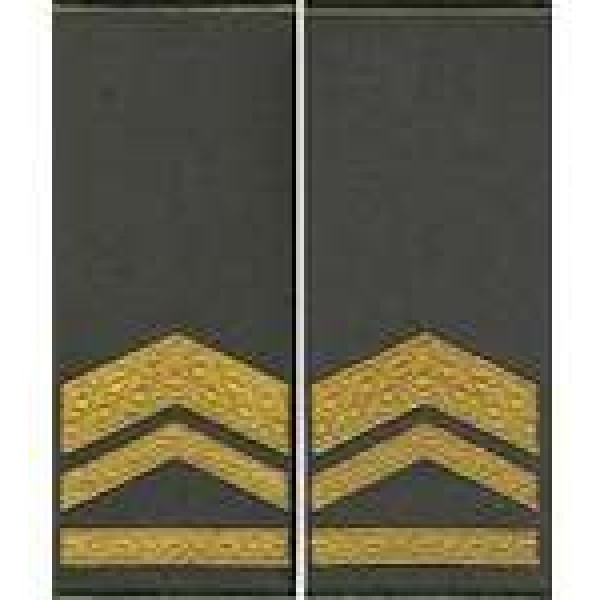 Погоны МО муфта вышитые старший прапорщик основа олива новые (парадные) - 3443671