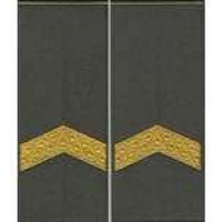 Погоны МО муфта вышитые старший сержант основа олива новые (парадные)