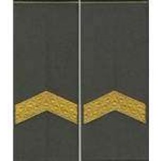 Погоны МО муфта вышитые старший сержант основа олива новые (парадные)