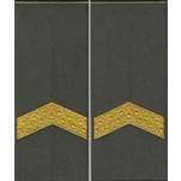 Погоны МО муфта вышитые старший сержант основа олива новые (парадные) - 3443672