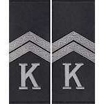 Погоны Капрал Полиции (курсантские) муфта (черные)