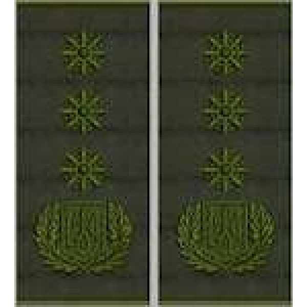 Погони Генерал Поліції 1 рангу муфта (олива) - 3443677