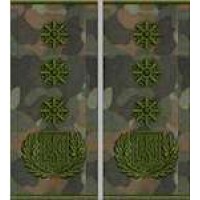 Погоны Генерал Полиции 1 ранга муфта (бундес)