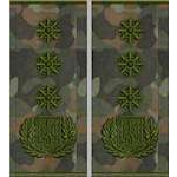 Погоны Генерал Полиции 1 ранга муфта (бундес) - 3443678