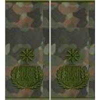 Погони Генерал Поліції 3 рангу муфта (бундес)