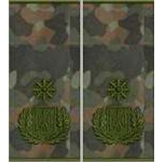 Погони Генерал Поліції 3 рангу муфта (бундес)