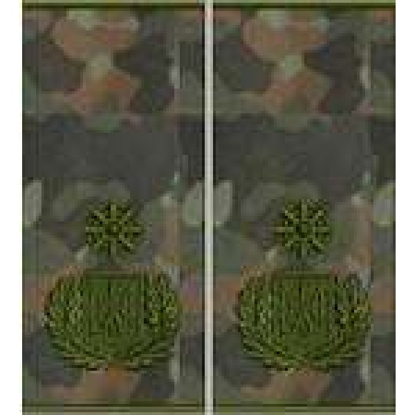 Погоны Генерал Полиции 3 ранга муфта (бундес) - 3443681