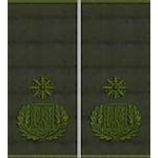 Погони Генерал Поліції 3 рангу муфта (олива)