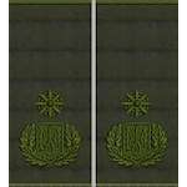 Погони Генерал Поліції 3 рангу муфта (олива) - 3443682