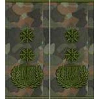 Погони Генерал Поліції 2 рангу муфта (бундес)