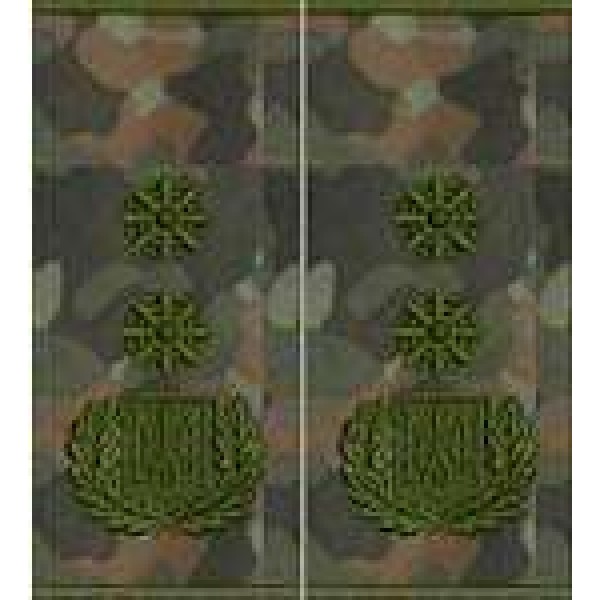 Погоны Генерал Полиции 2 ранга муфта (бундес) - 3443684