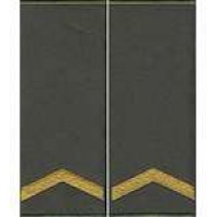 Погоны МО муфта вышитые старший солдат основа олива новые (парадные)