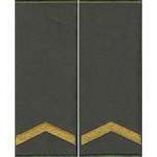 Погоны МО муфта вышитые старший солдат основа олива новые (парадные)