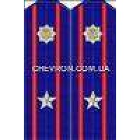 Погоны МВД на китель вышитые майор