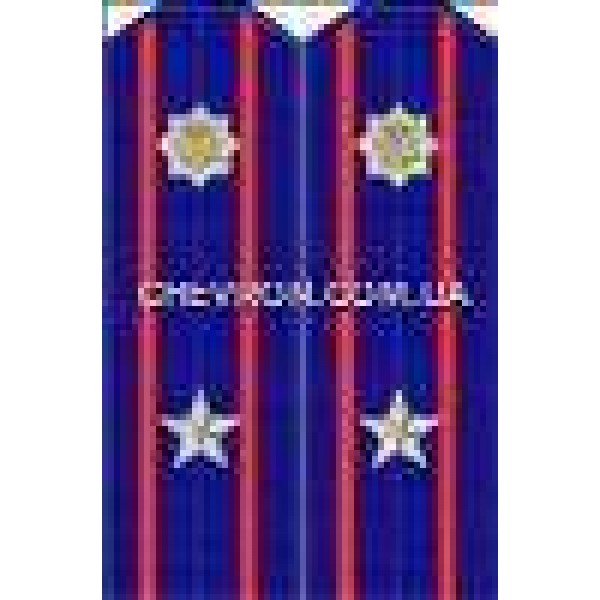 Погони МВС на кітель вишиті майор - 3443692