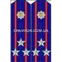 Погони МВС на кітель вишиті полковник