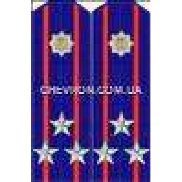 Погони МВС на кітель вишиті полковник - 3443694