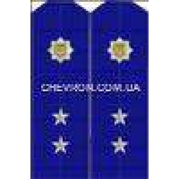 Погони МВС на кітель вишиті прапорщик - 3443695