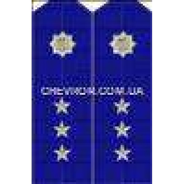 Погони МВС на кітель вишиті старший прапорщик - 3443697
